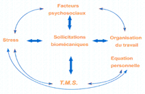 Facteurs de risques TMS